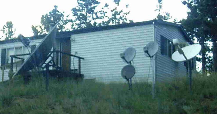Dish Garden.jpg