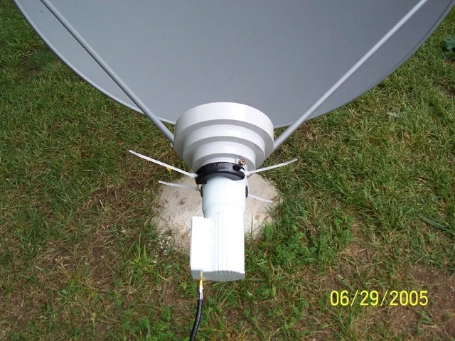 dish_1.webp