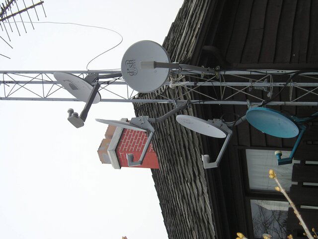 P1010061.JPG
