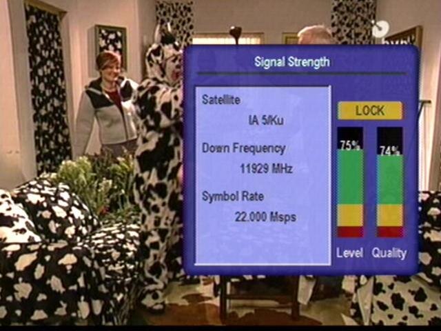 BVN.jpg