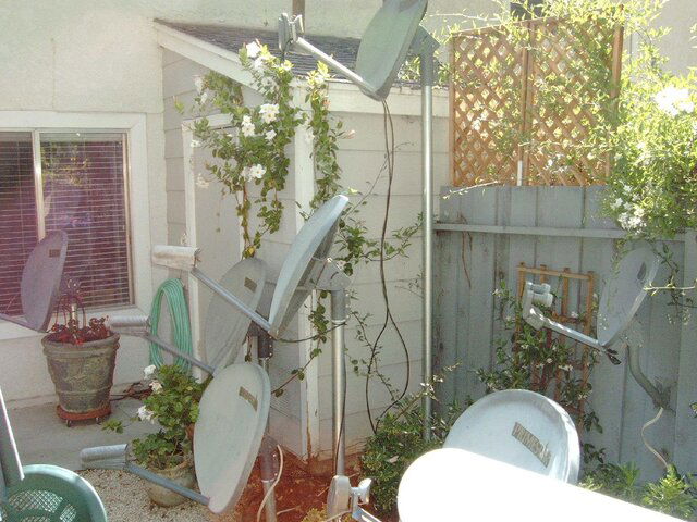 IMAG0009.JPG