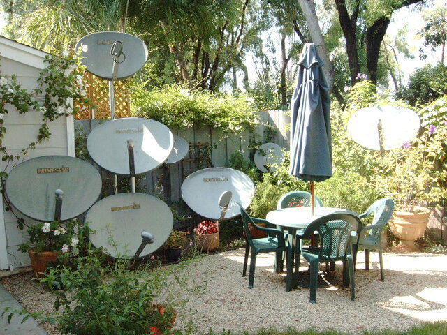 IMAG0010.JPG