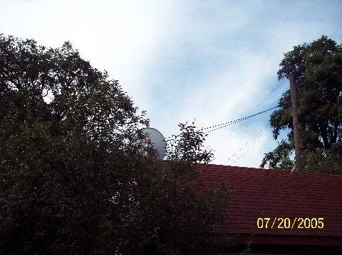 100_0550.webp
