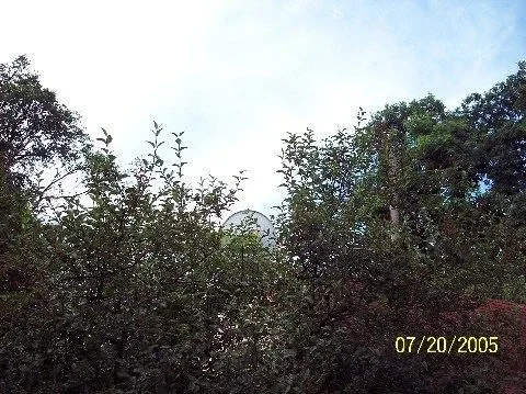 100_0549.webp