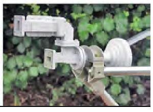 lnb.JPG