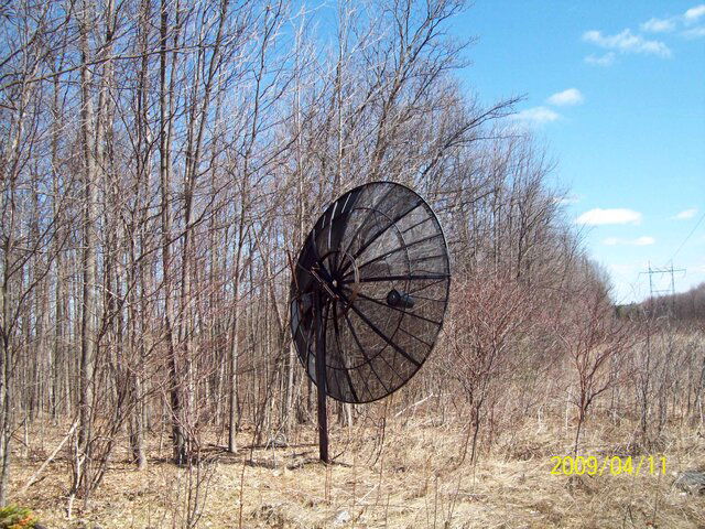 100_0011.jpg