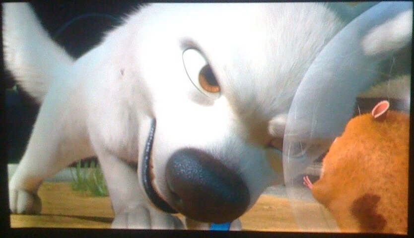 movie1.jpg