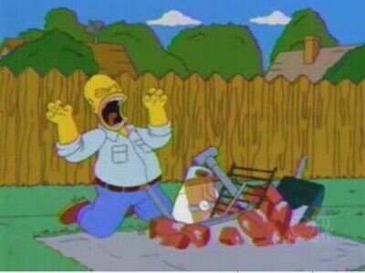 homer bbq.jpg