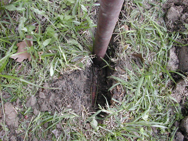 DSCN0479.JPG