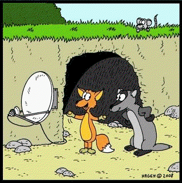 Fox Cartoon Animation.gif