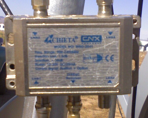 cheta1.jpg