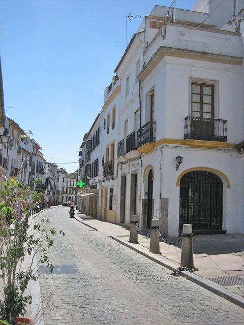 IMG_7468.jpg