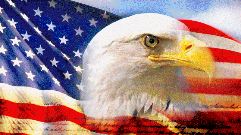 Eagle & Flag Puzzle Animation.gif