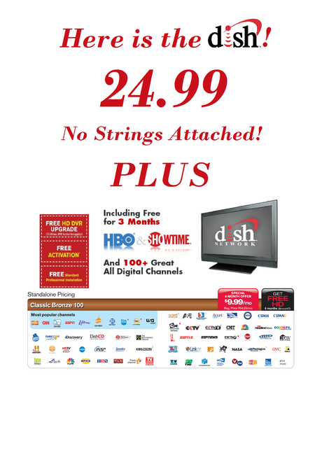 Dish Ad 2.png