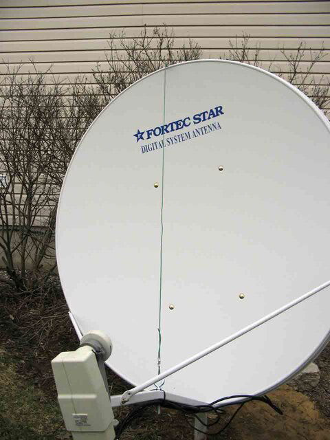 dish7.jpg