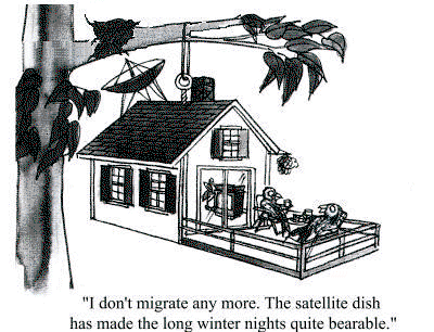 Bird House FTA Animation.gif