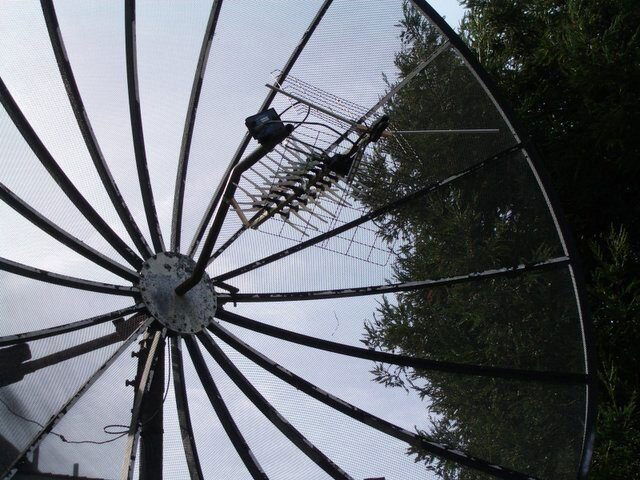 Image003-2.jpg