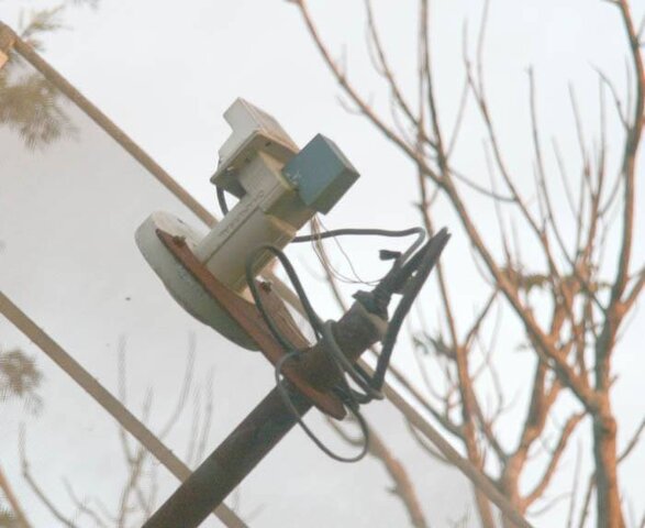 CR_dish2.jpg