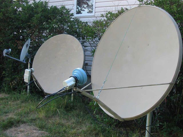 dish-garden.jpg