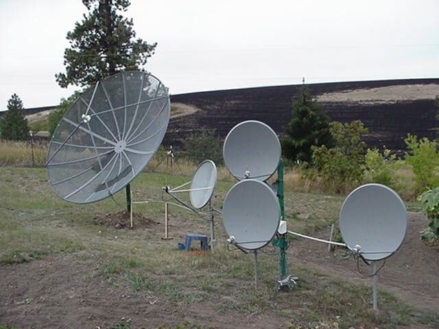 dishfarm09.jpg