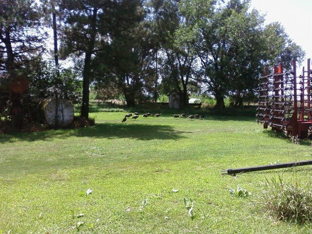 0809135248.jpg