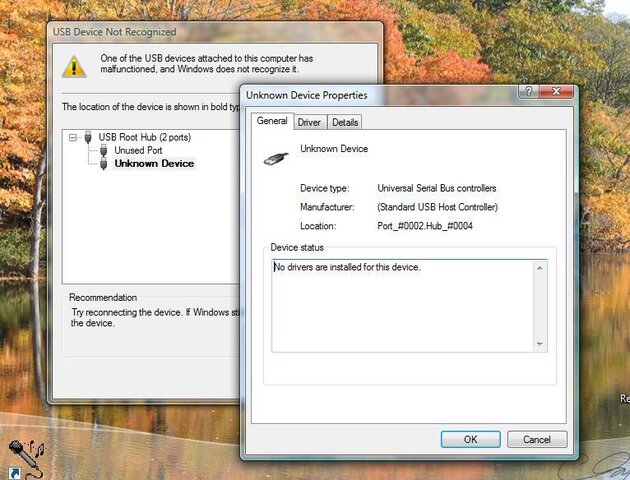 WindowsUSBerror.jpg