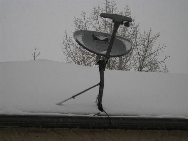 dish heater 002 (Large).jpg