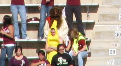 Picture5.png