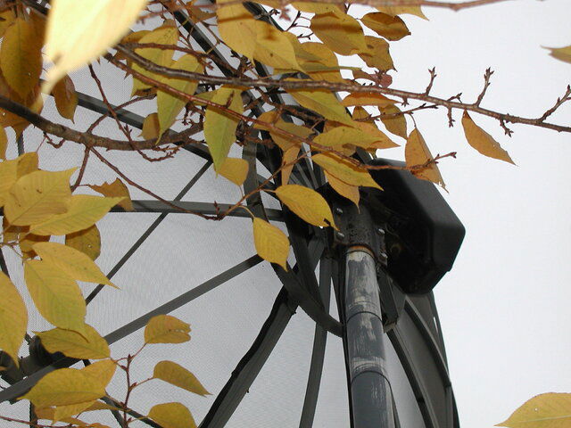P1010039.JPG