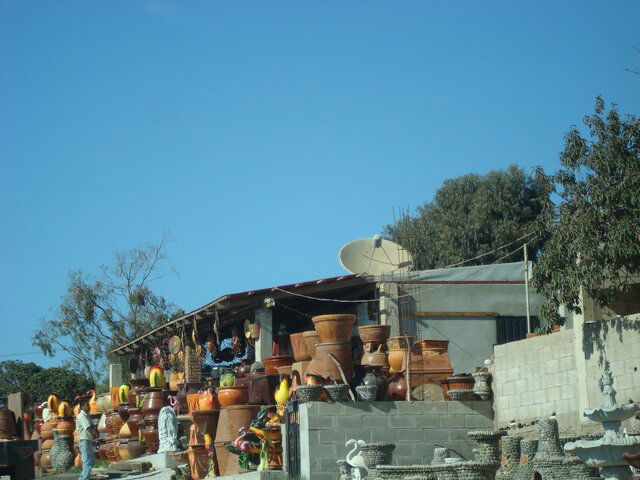 DSC00446.JPG