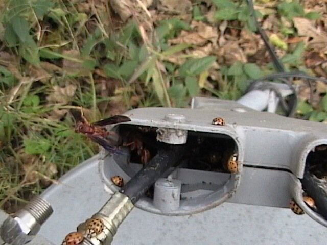 DVC00100.JPG