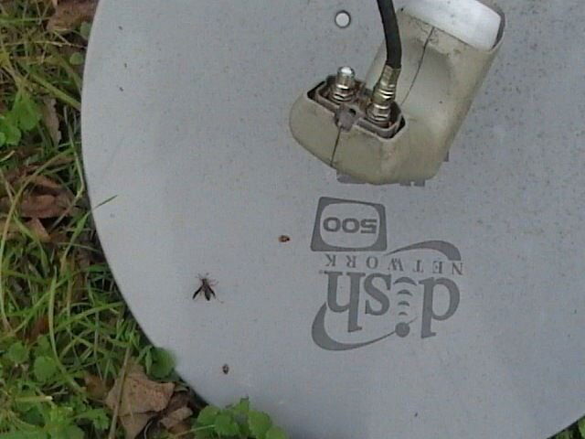 DVC00101.JPG