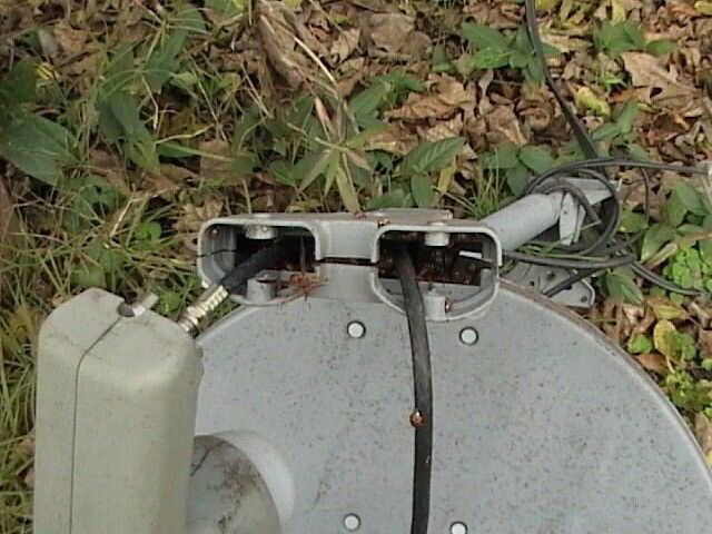 DVC00102.JPG