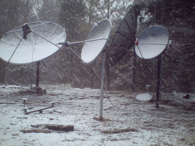 dish3.jpg