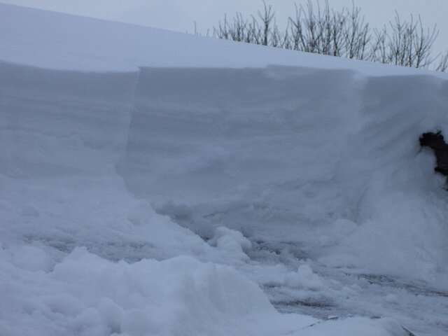 000_0090.jpg