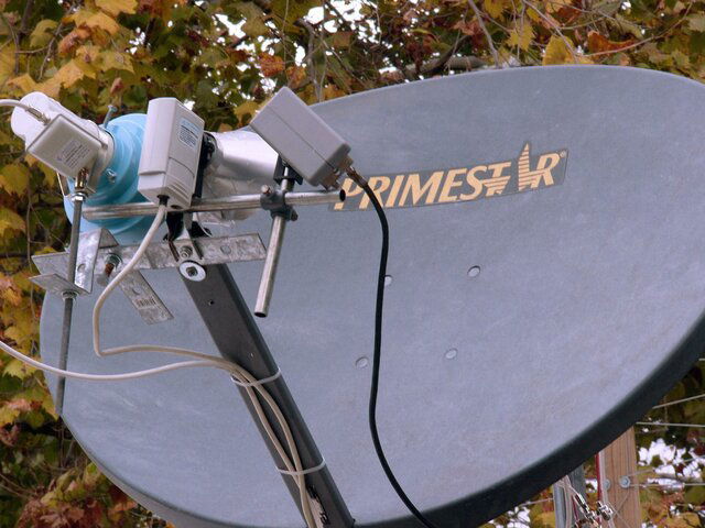 dish.jpg