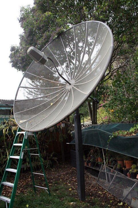 10 footer before removal.jpg
