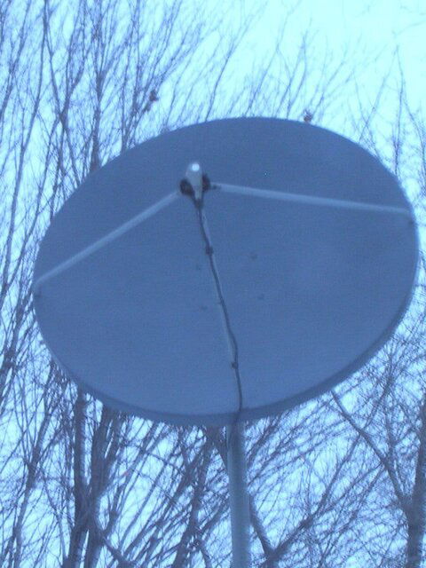 1.2 M DISH.JPG