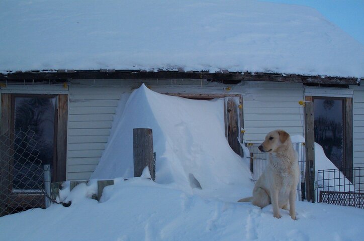 Winter09_2.JPG