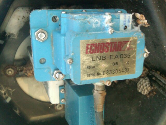 lnb.JPG