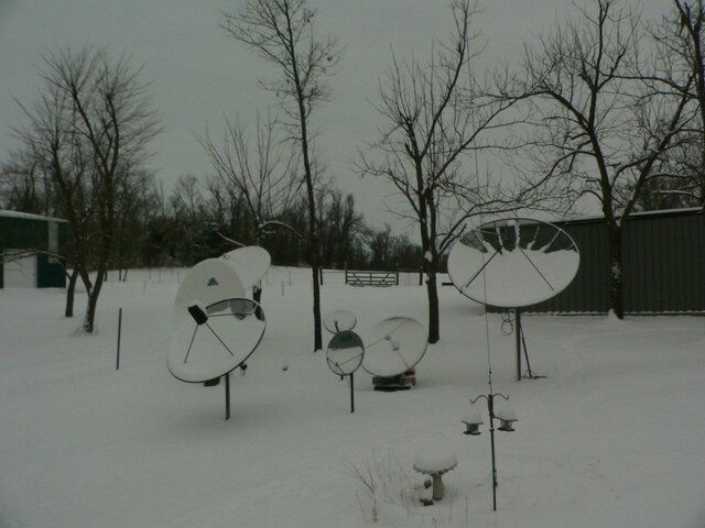 Sat Dish Farm Snow 01-30-10f.JPG