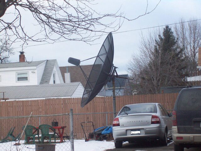 dish hunt 2.JPG