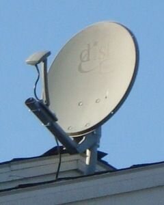 Mystery.Dish.side.jpg