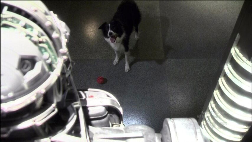 Zoe's Dog.jpg