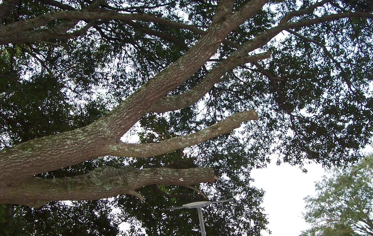 100_3411.webp