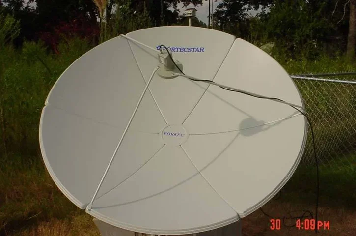 dish1.webp