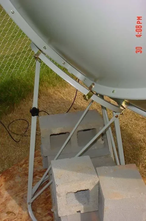 dish2.webp