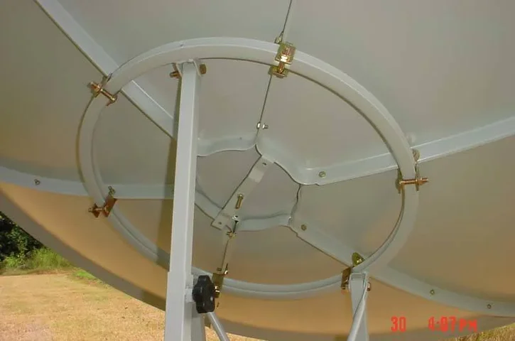 dish6.webp