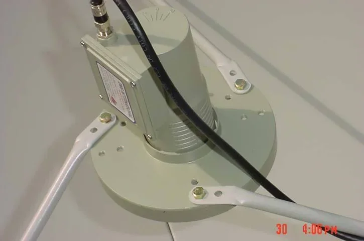 dish7.webp