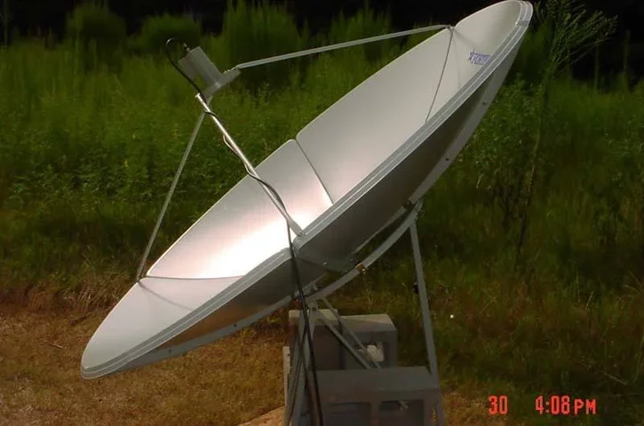dish4.webp